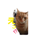 フレブルコナリ3（個別スタンプ：3）