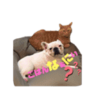 フレブルコナリ3（個別スタンプ：19）