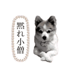 える＆朔（個別スタンプ：1）