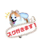 える＆朔（個別スタンプ：5）