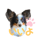 える＆朔（個別スタンプ：6）