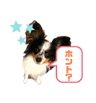 える＆朔（個別スタンプ：10）