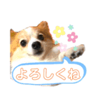 える＆朔（個別スタンプ：15）