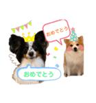 える＆朔（個別スタンプ：22）