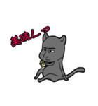 猫パイセン（個別スタンプ：1）