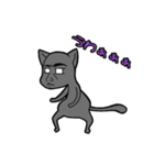 猫パイセン（個別スタンプ：12）