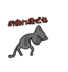 猫パイセン（個別スタンプ：15）