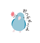 水色のマメルリハ（個別スタンプ：5）
