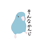 水色のマメルリハ（個別スタンプ：8）