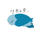 水色のマメルリハ（個別スタンプ：15）