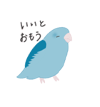 水色のマメルリハ（個別スタンプ：16）