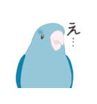 水色のマメルリハ（個別スタンプ：19）