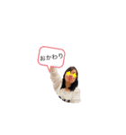 メモリ〜（個別スタンプ：3）