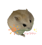 ルルミルスタンプ（個別スタンプ：5）