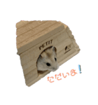 ルルミルスタンプ（個別スタンプ：7）