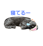 ロミロミスタンプ（個別スタンプ：3）