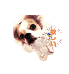 すたんぷふく（個別スタンプ：7）