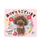 すずちゃんの色々挨拶スタンプ2（個別スタンプ：3）