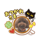 すずちゃんの色々挨拶スタンプ2（個別スタンプ：4）