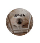 しろとほの（個別スタンプ：26）
