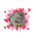 しろとほの（個別スタンプ：35）