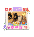モモン_20200404011938（個別スタンプ：4）