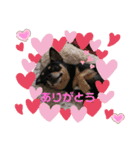 モモン_20200404011938（個別スタンプ：8）