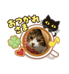 人気者らぶにゃん（個別スタンプ：3）