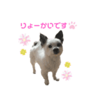 こはるちゃん.3（個別スタンプ：3）