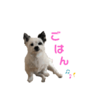 こはるちゃん.3（個別スタンプ：7）