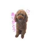 ︎︎︎︎︎☺︎‪‪みみ‪‪︎︎︎︎︎☺︎（個別スタンプ：6）