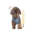 ︎︎︎︎︎☺︎‪‪みみ‪‪︎︎︎︎︎☺︎（個別スタンプ：7）