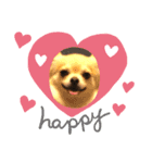 ちょいワル犬ルーク2（個別スタンプ：8）