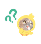 プリティーもなか（個別スタンプ：4）
