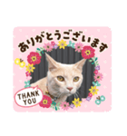 プリティーもなか（個別スタンプ：14）