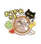 プリティーもなか（個別スタンプ：15）