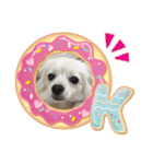 テクスタンプ（個別スタンプ：1）