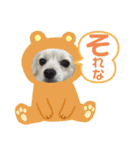テクスタンプ（個別スタンプ：3）