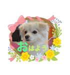 テクスタンプ（個別スタンプ：6）