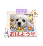 テクスタンプ（個別スタンプ：7）