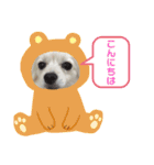 テクスタンプ（個別スタンプ：10）