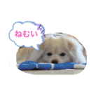 テクスタンプ（個別スタンプ：15）