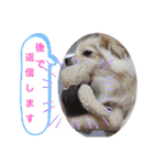 テクスタンプ（個別スタンプ：19）