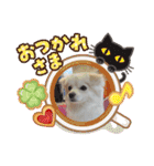 テクスタンプ（個別スタンプ：22）