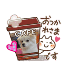 テクスタンプ（個別スタンプ：23）