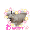 テクスタンプ（個別スタンプ：24）