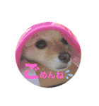 テクスタンプ（個別スタンプ：27）
