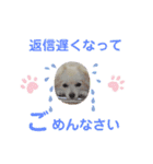 テクスタンプ（個別スタンプ：33）