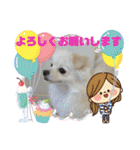 テクスタンプ（個別スタンプ：35）