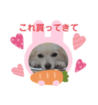 テクスタンプ（個別スタンプ：36）